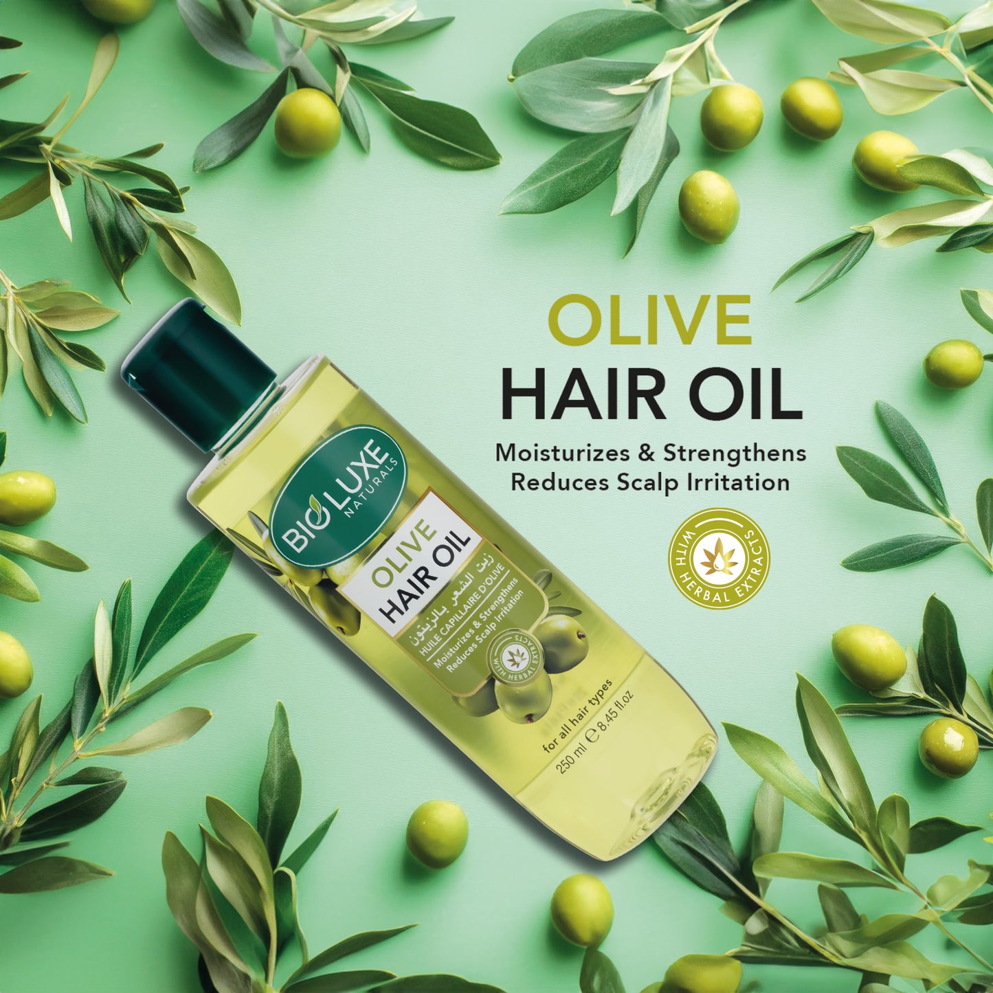Olive Hair Oil